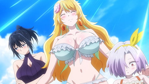 The Shy Hero and the Assassin Princesses - T1 - Episodio 9